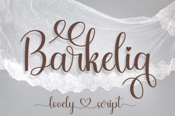 Barkelia: A Designer’s Take on Real-World Use