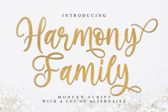 Harmony Family: A Handwritten Font That Elevates Campaign Typography