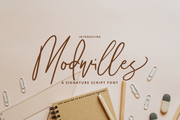 Modwilles: A Designer’s Take on Real-World Use